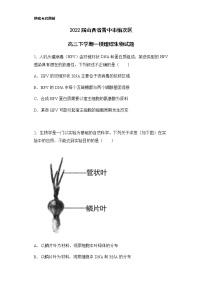 2022届山西省晋中市榆次区高三下学期一模理综生物试题含解析