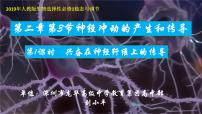 高中生物人教版 (2019)选择性必修1第2章 神经调节第3节 神经冲动的产生和传导教案配套课件ppt