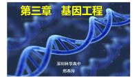 高中人教版 (2019)第1节 重组DNA技术的基本工具图片ppt课件