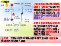 高中二 胚胎工程技术及其应用课前预习课件ppt