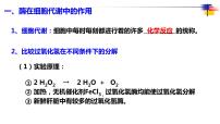 高三一轮复习生物：必修1第5、6章复习课件