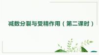2.1 减数分裂和受精作用（第二课时）课件--高一下学期生物人教版必修2