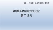 6.3  种群基因组成的变化与物种的形成（1）种群基因组成的变化（第二课时）课件--高一下学期生物人教版必修2