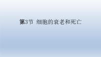 6.3细胞的衰老和死亡--高一上学期生物人教版必修2