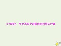 2023版高考生物一轮总复习小专题七生态系统中能量流动的相关计算课件