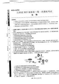 2023届江西省（稳派教育）新高三第一摸底考试生物试题含答案（2022年7月）