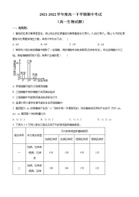 2022淄博高一下学期期中考试生物试题含解析