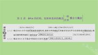 新课标2023版高考生物一轮总复习第六单元基因的本质和表达第2讲DNA的结构复制和基因的概念课件