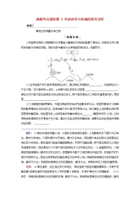 2023版高考生物一轮总复习第8单元生命活动的调节高频考点进阶课4.兴奋传导与传递的相关分析教师用书