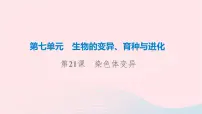 2023版高考生物一轮总复习第7单元生物的变异育种与进化第21课染色体变异课件