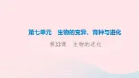 2023版高考生物一轮总复习第7单元生物的变异育种与进化第22课生物的进化课件