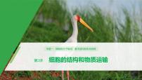 高考生物二轮复习专题1细胞的分子组成、基本结构和生命历程第2讲细胞的结构和物质运输课件