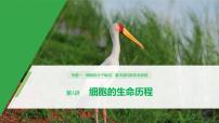 高考生物二轮复习专题1细胞的分子组成、基本结构和生命历程第3讲细胞的生命历程课件