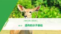 高考生物二轮复习专题3遗传、变异与进化第1讲遗传的分子基础课件