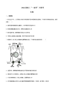 2022届湖南省师大附中部分学校高三下学期“一起考”大联考生物试题含答案