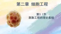高中生物人教版 (2019)选择性必修3一 胚胎工程的理论基础一等奖课件ppt