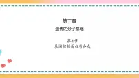 高中生物浙科版 (2019)必修2《遗传与进化》第三章 遗传的分子基础第四节 基因控制蛋白质合成获奖课件ppt