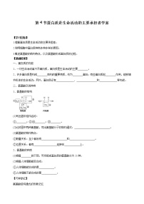 人教版 (2019)必修1《分子与细胞》第4节 蛋白质是生命活动的主要承担者学案