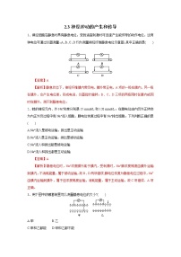 高中生物人教版 (2019)选择性必修1第3节 神经冲动的产生和传导课后复习题