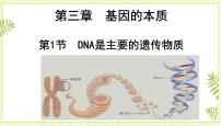 高中生物人教版 (2019)必修2《遗传与进化》第1节 DNA是主要的遗传物质优秀ppt课件