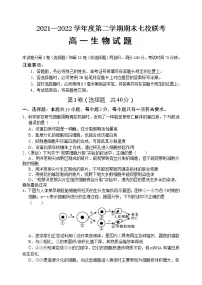 2022重庆市七校高一下学期期末考试生物试题含答案