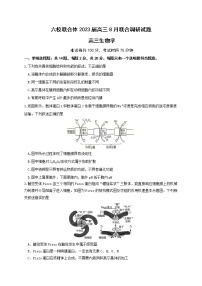 2023南京六校联合体高三8月联合调研考试生物含答案