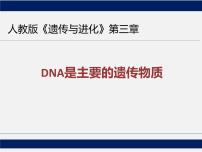 人教版《DNA是主要的遗传物质》一轮复习课件