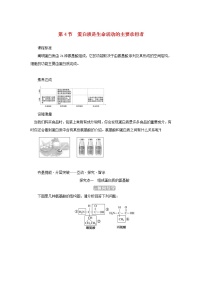 人教版 (2019)必修1《分子与细胞》第2章 组成细胞的分子第4节 蛋白质是生命活动的主要承担者学案及答案