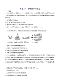 专题14 生物技术与工程-十年（2013-2022）高考生物真题分项汇编（全国通用）（原卷版）