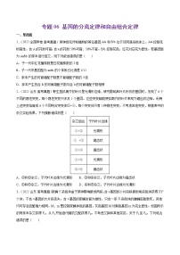 专题06 基因的分离定律和自由组合定律-十年（2013-2022）高考生物真题分项汇编（全国通用）（原卷版）