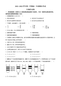 2022太原高一下学期期末生物试题含答案