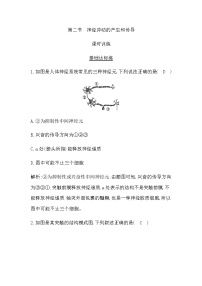 高中生物浙科版 (2019)选择性必修1 稳态与调节第二节  神经冲动的产生和传导课后复习题