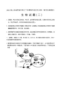 2022届山东省肥城市高三下学期高考适应性训练（高考仿真模拟）生物试题（二）含答案