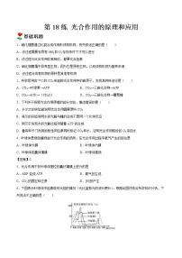 高中生物人教版 (2019)必修1《分子与细胞》二 光合作用的原理和应用精品同步测试题