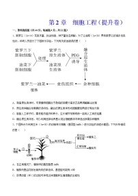 高中生物人教版 (2019)选择性必修3科技探索之路 细胞工程的发展历程精品课时训练