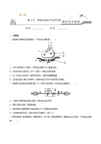 人教版 (2019)选择性必修1第3节 神经冲动的产生和传导精品测试题