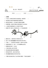 高中生物人教版 (2019)选择性必修1第2章 神经调节第3节 神经冲动的产生和传导优秀精练