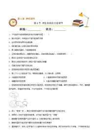 人教版 (2019)选择性必修1第2章 神经调节第4节 神经系统的分级调节精品习题