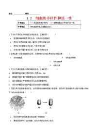 人教版 (2019)必修1《分子与细胞》第2节 细胞的多样性和统一性同步测试题