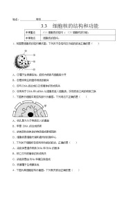 生物第3章 细胞的基本结构第3节 细胞核的结构和功能同步训练题