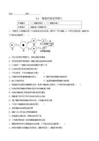 2021学年第3节 细胞的衰老和死亡课后复习题