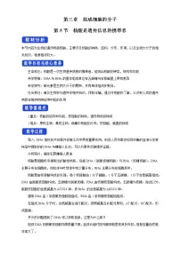 高中生物人教版 (2019)必修1《分子与细胞》第5节 核酸是遗传信息的携带者教学设计及反思