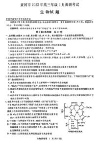 湖北省黄冈市2022-2023学年高三上学期9月调研考试生物试题及答案