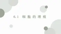 高中生物人教版 (2019)必修1《分子与细胞》第1节 细胞的增殖教课ppt课件