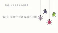 生物选择性必修1第5章 植物生命活动的调节第3节 植物生长调节剂的应用教课课件ppt
