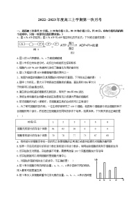黑龙江省牡丹江市海林市朝鲜族中学2022-2023学年高三上学期第一次月考生物试题（含答案）