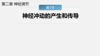 2020-2021学年第2章 神经调节第3节 神经冲动的产生和传导教课内容课件ppt