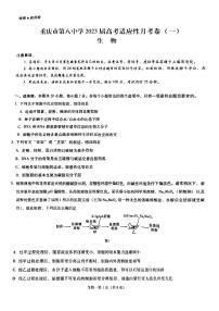 2023重庆市八中高三上学期适应性月考卷（一）生物PDF版含答案