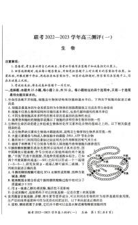 河南省豫北名校普高联考2022-2023学年高三上学期测评（一）生物试卷