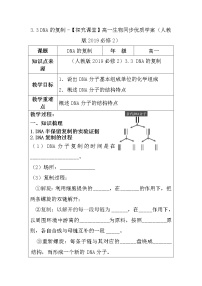 人教版 (2019)必修2《遗传与进化》第3章 基因的本质第3节 DNA的复制教案